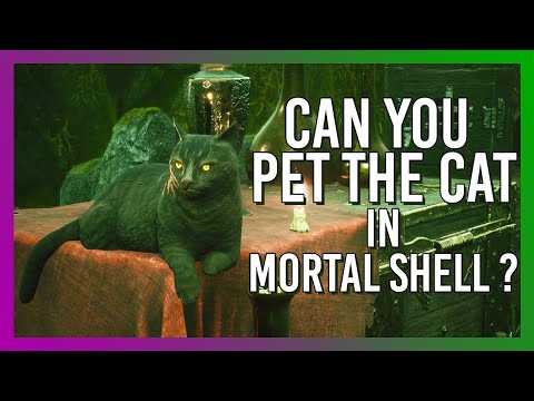 Can You Pet The Cat in Mortal Shell ?