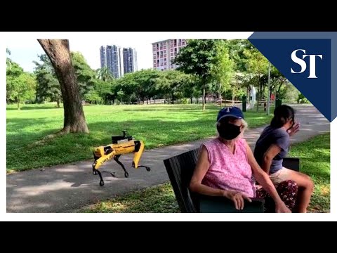 Spot robot patrolling Bishan-Ang Mo Kio Park | The Straits Times